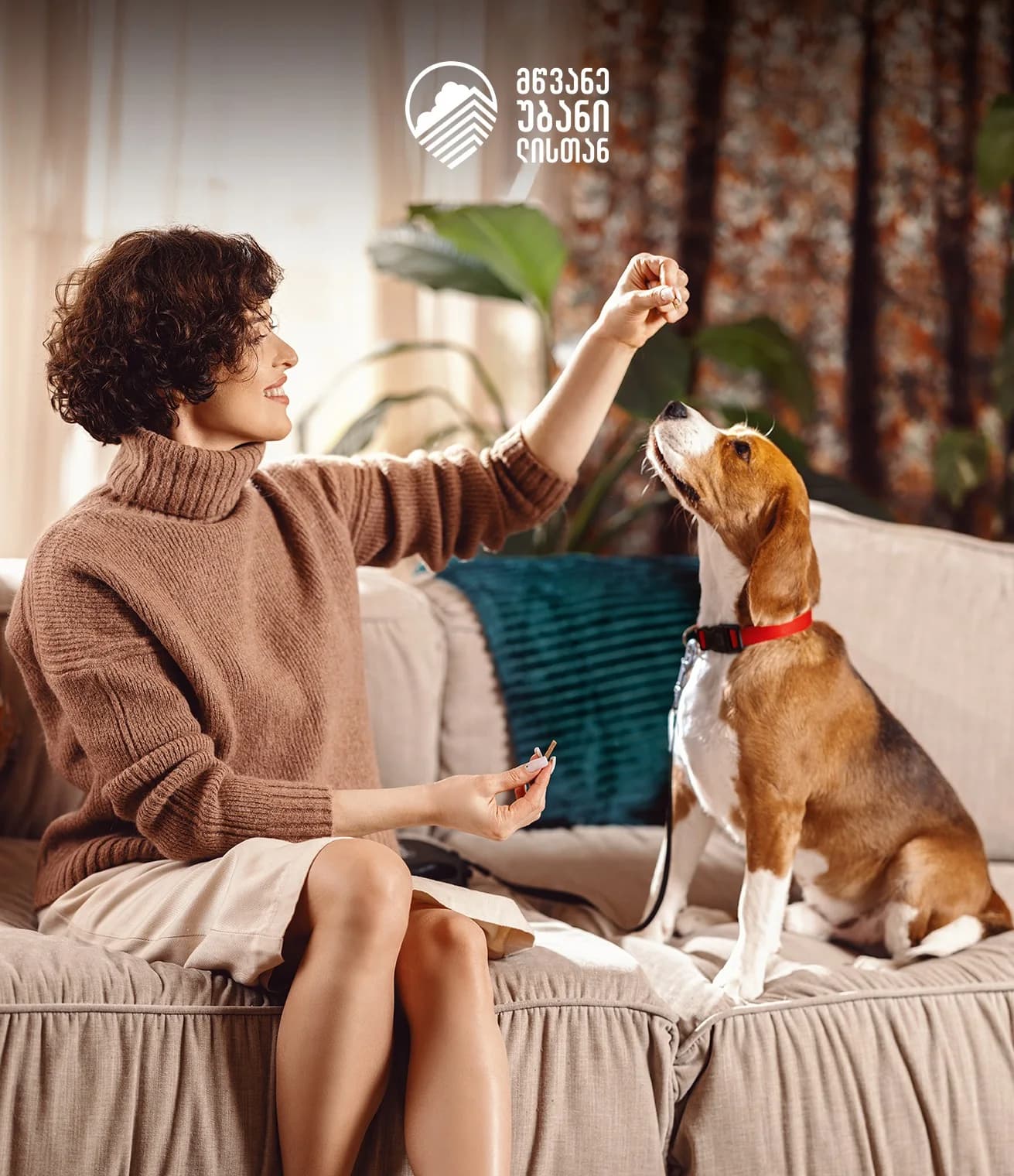 Pet food ad: woman with a beagle on a sofa