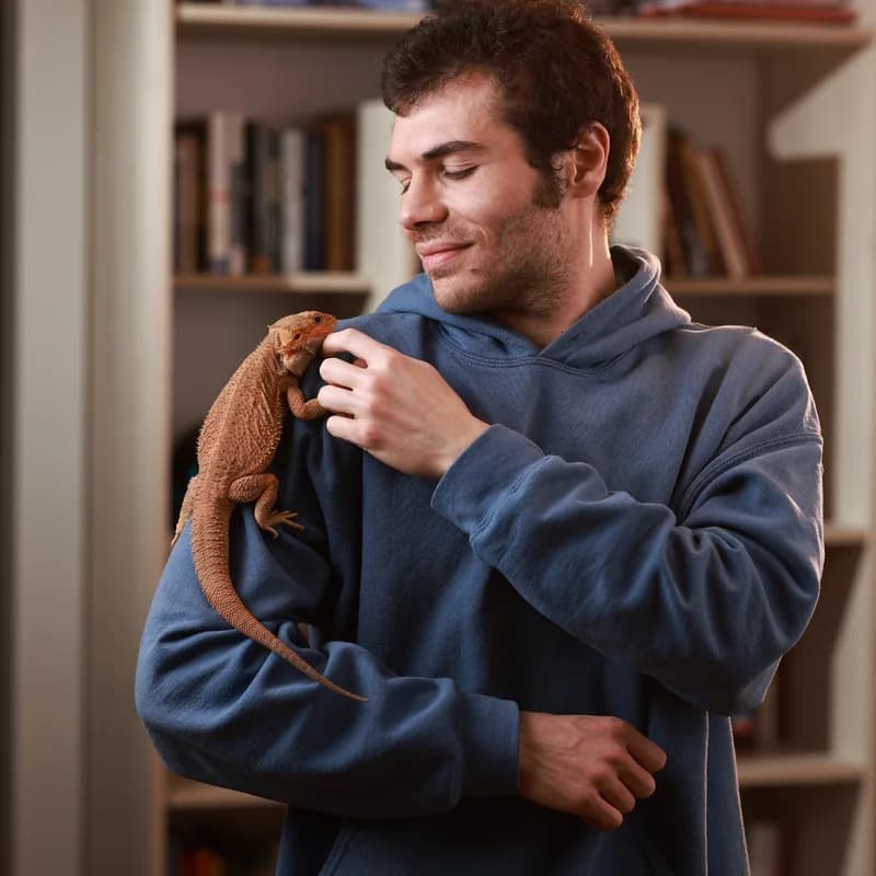 Pet food ad: man holding a cat
