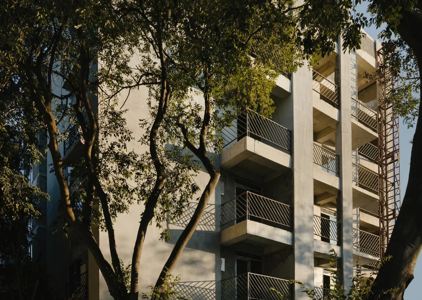 Real estate ad: residential building seen through trees